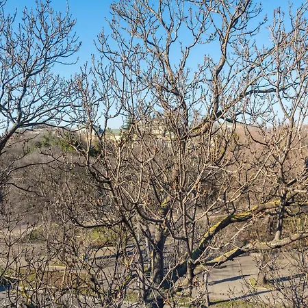 студио в близост до община